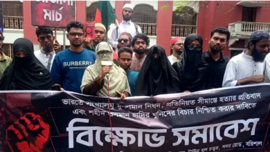 ওসমান হাদির রক্তের সঙ্গে ইউনূস সরকার বেইমানি করেছে, বললেন মাসুমা হাদি