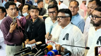 জীবিত জিয়ার চেয়ে শহীদ জিয়া বেশি শক্তিশালী: দুলু