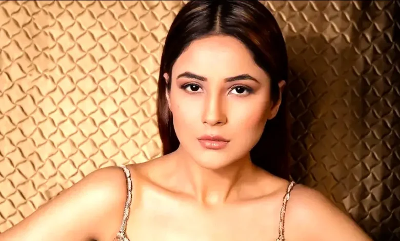 শেহনাজ মজেছেন কার প্রেমে?