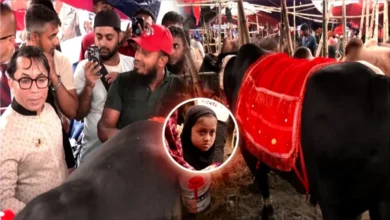 খালেদা জিয়ার নামেই কোরবানি হবে ‘কালো মানিক’