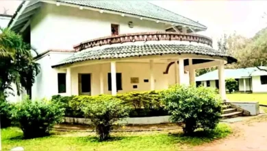 ক্যামেলিয়া ডানকান ফাউন্ডেশন বন্ধ: ৪০ দিনে লক্ষাধিক চা শ্রমিক সংকটে।