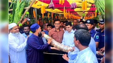 কৃষিপণ্যে সাজানো তোরণ প্রধান অতিথিকে বরণ মানকচু দিয়ে
