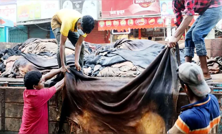 কুরবানির পশুর চামড়ার দাম নির্ধারণ, প্রতি বর্গফুট ৬২ থেকে ৬৭ টাকা