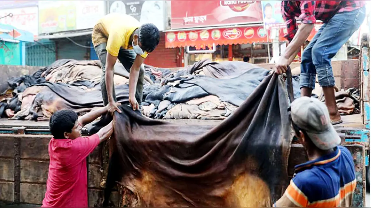 কুরবানির পশুর চামড়ার দাম নির্ধারণ, প্রতি বর্গফুট ৬২ থেকে ৬৭ টাকা