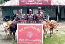 কুড়িগ্রাম সীমান্তে বিজিবির কড়া নজরদারি: মাসে ১.৭১ কোটি টাকার পণ্য-মাদক জব্দ