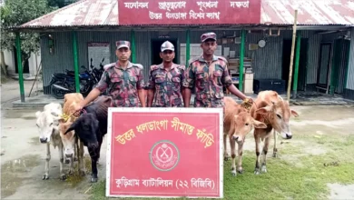 কুড়িগ্রাম সীমান্তে বিজিবির কড়া নজরদারি: মাসে ১.৭১ কোটি টাকার পণ্য-মাদক জব্দ