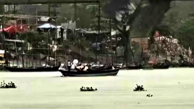 লঞ্চ বন্ধ, তবু গরু নিয়ে নদী পাড়ি