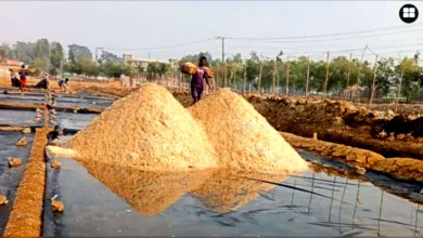 নয় লাখ টন মজুত, তবু ৩৭০ টাকা বেড়েছে লবণের দাম