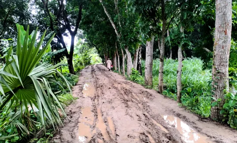 মাদারীপুরের রাজৈরে জনগুরুত্বপূর্ণ রাস্তা মরণফাঁদ, ভোগান্তিতে হাজারো মানুষ
