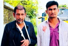 ট্রাক থামিয়ে মহাসড়কে ১০ গরু লুট, আহত ২ জন