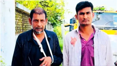 ট্রাক থামিয়ে মহাসড়কে ১০ গরু লুট, আহত ২ জন