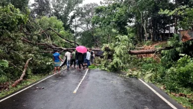 কালবৈশাখীর তাণ্ডব, বিদ্যুৎহীন শত শত গ্রাহক