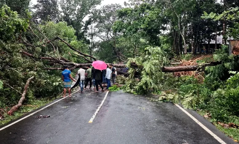কালবৈশাখীর তাণ্ডব, বিদ্যুৎহীন শত শত গ্রাহক