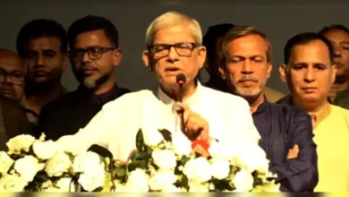 যেদিকে তাকাই সেদিকেই অনিয়ম-দুর্নীতি : মির্জা ফখরুল
