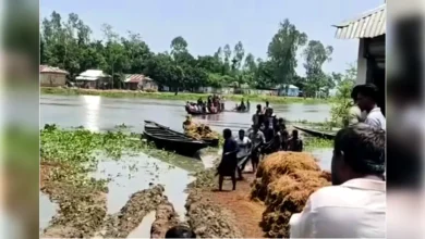 নিখোঁজের দুই দিন পর নবীগঞ্জের হাওরে কৃষকের মরদেহ উদ্ধার