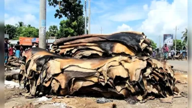 ন্যায্যমূল্যের অভাবে রাস্তার পাশে পড়ে আছে অবিক্রীত চামড়া
