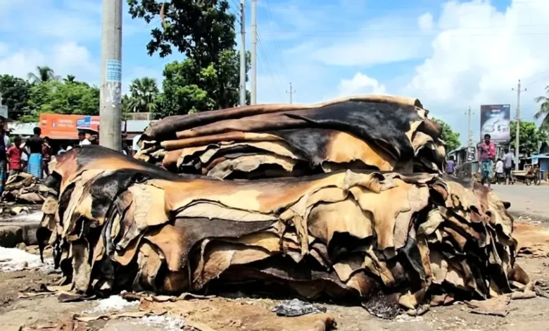 ন্যায্যমূল্যের অভাবে রাস্তার পাশে পড়ে আছে অবিক্রীত চামড়া