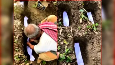নড়াইলে এক মায়ের গর্ভে ৭ সন্তানের জন্ম! বাচানো গেলো না একটা সন্তানকেও !