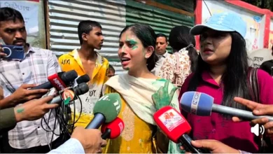 অন্তঃসত্ত্বা অবস্থায় জুলাই গ্রাফিতি আঁকতে এসে ছাত্রদলের হামলার শিকার: নারী