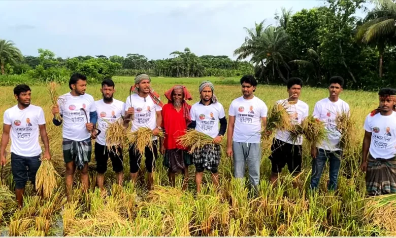 অসহায় কৃষকের ধান কেটে দিল কদমতলা ইউনিয়ন ছাত্রদল।