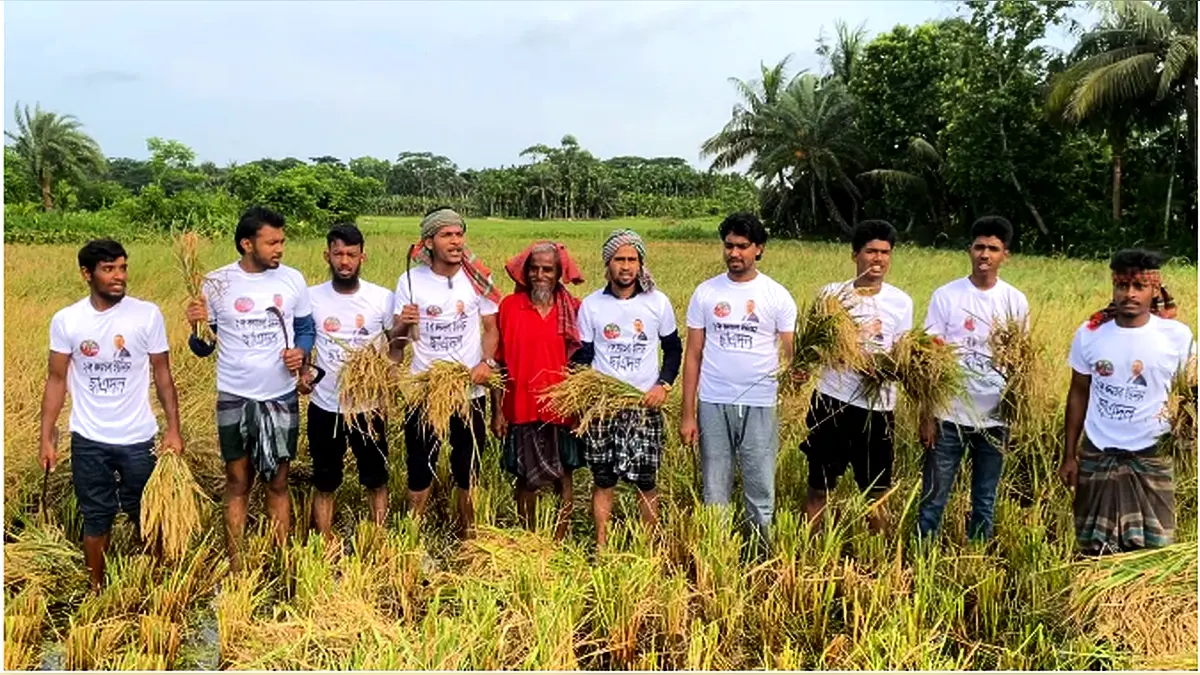 অসহায় কৃষকের ধান কেটে দিল কদমতলা ইউনিয়ন ছাত্রদল।