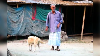 পাবনায় আকাশকলি দাসের পাখির অভয়াশ্রম সংরক্ষণের নির্দেশ হাইকোর্টের