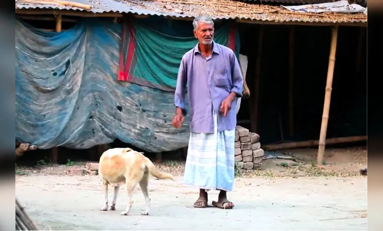 পাবনায় আকাশকলি দাসের পাখির অভয়াশ্রম সংরক্ষণের নির্দেশ হাইকোর্টের