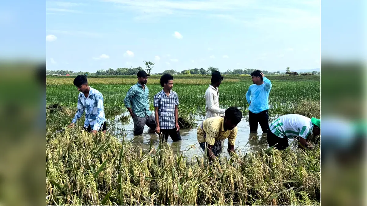 প্রাকৃতিক দুর্যোগে ক্ষতিগ্রস্ত কৃষকের পাশে বাঘাইছড়ি উপজেলা, পৌর ও কলেজ ছাত্রদল