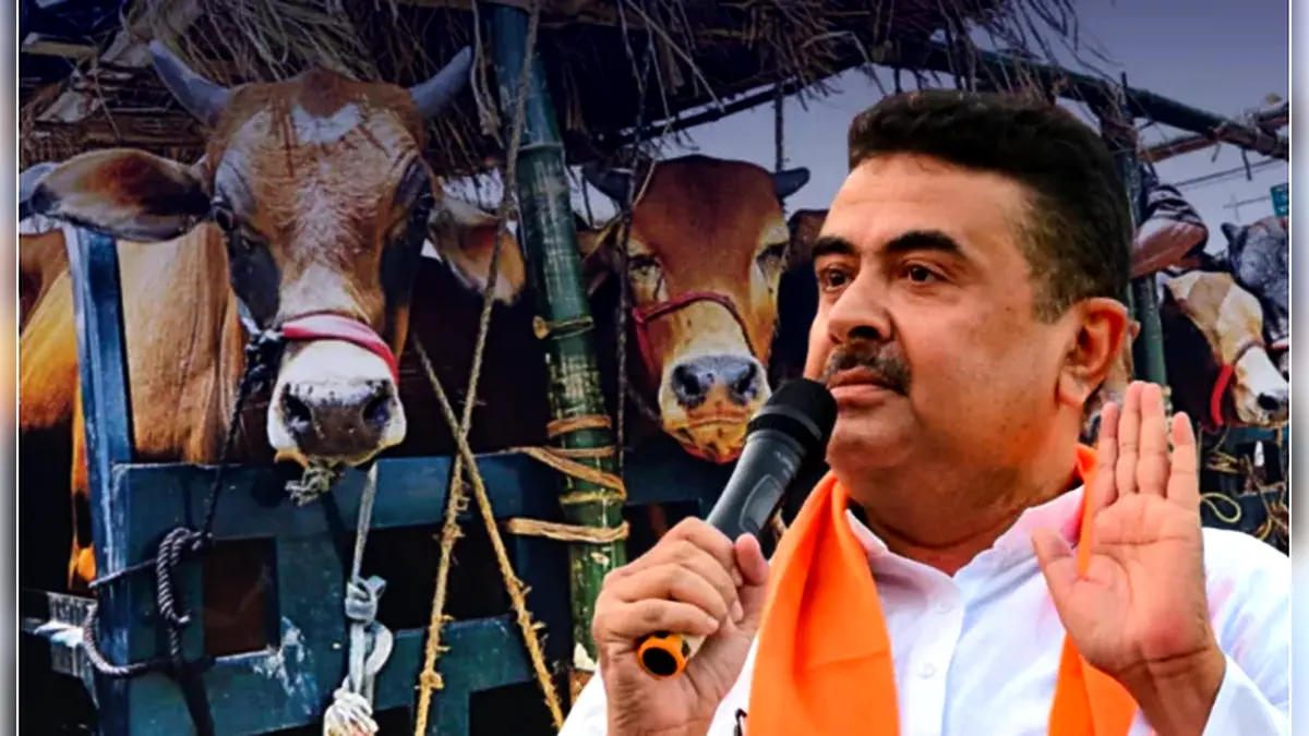 পশ্চিমবঙ্গে কোরবানির বাজারে হাহাকার, দ্রুত সিদ্ধান্ত নেবেন শুভেন্দু