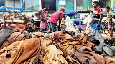 পশুর চামড়ার মূল্যবৃদ্ধি: কোরবানির চামড়ার দাম নতুন রেকর্ডে