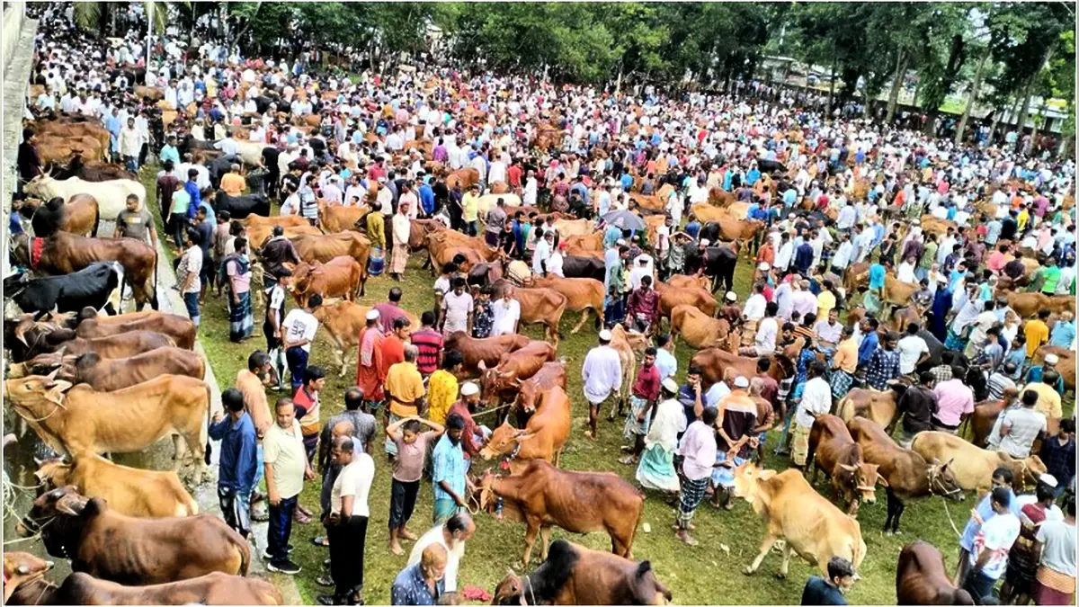 পশুর হাটে জাল নোট শনাক্তে বসছে বিশেষ বুথ