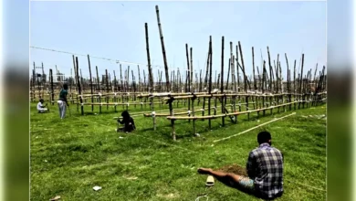 পশুর হাটের ইজারায় বিএনপির আধিপত্য, জামায়াতেরও চেষ্টা
