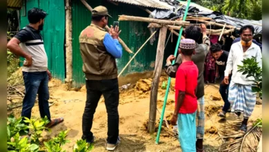 রামুতে বন্য হাতির আক্রমণে মা ও শিশুকন্যার মৃত্যু