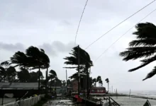 সন্ধ্যা পর্যন্ত ছয় জেলায় ৮০ কিমি/ঘণ্টা ঝড়ের ঝুঁকি