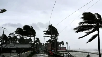 সন্ধ্যা পর্যন্ত ছয় জেলায় ৮০ কিমি/ঘণ্টা ঝড়ের ঝুঁকি