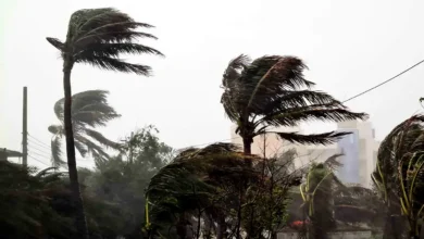 সন্ধ্যার মধ্যে যেসব জেলায় ঝড়-বৃষ্টির শঙ্কা