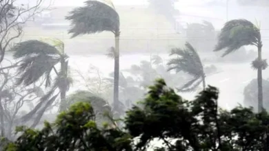 সন্ধ্যার মধ্যে যেসব জেলায় ঝড়ের শঙ্কা