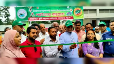সোনাতলায় ধান-চাল সংগ্রহ উদ্বোধন, একাধিক কর্মসূচিতে এমপি রফিকুল ইসলাম