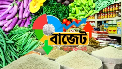 বাজেটে সাধারণ মানুষের স্বস্তি কমছে নিত্যপণ্যের দাম, বাড়ছে করমুক্ত আয়ের সীমা