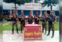 বিজিবি কর্তৃক বিপুল পরিমানে নেশা জাতীয় ট্যাবলেড উদ্ধার।