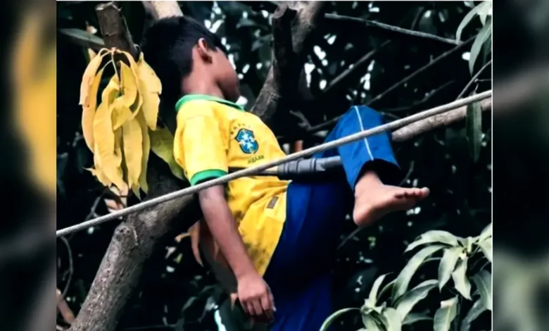 ব্রাজিল পতাকা টাঙাতে গিয়ে বিদ্যুৎপৃষ্ঠ হয়ে না ফেরার দেশে চলে গেলো শিশু