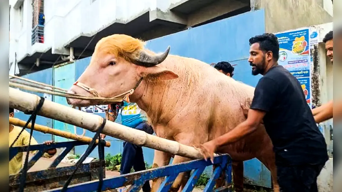 চিড়িয়াখানা থেকে গবেষণাগারে ‘ডোনাল্ড ট্রাম্প’