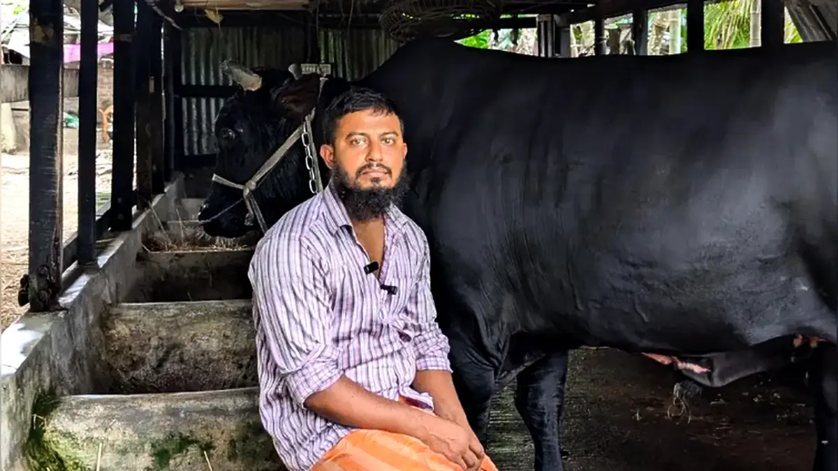 খালেদা জিয়াকে ‘কালো মানিক’ উপহার দেওয়া সোহাগ মৃধা পর্নোগ্রাফি মামলায় গ্রেপ্তার