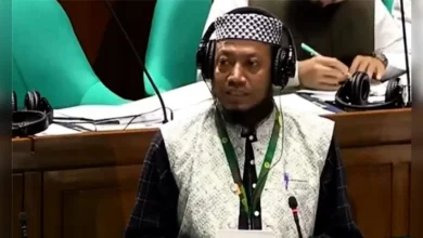 লালনের মাজারে অনৈতিক চর্চার অভিযোগ আমির হামজার, চান বন্ধের উদ্যোগ