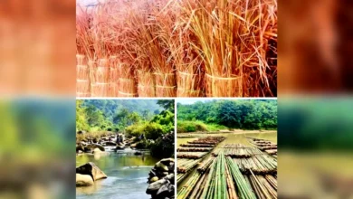 লামায় বিলুপ্তির পথে প্রাকৃতিক সম্পদ বাঁশ, ছন ও পাথর; শঙ্কায় পরিবেশ ও জীবিকা