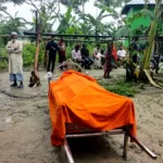 মেঘনা নদীতে বজ্রপাতে বাল্কহেড সুকানির মৃত্যু