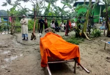 মেঘনা নদীতে বজ্রপাতে বাল্কহেড সুকানির মৃত্যু
