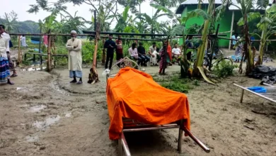 মেঘনা নদীতে বজ্রপাতে বাল্কহেড সুকানির মৃত্যু