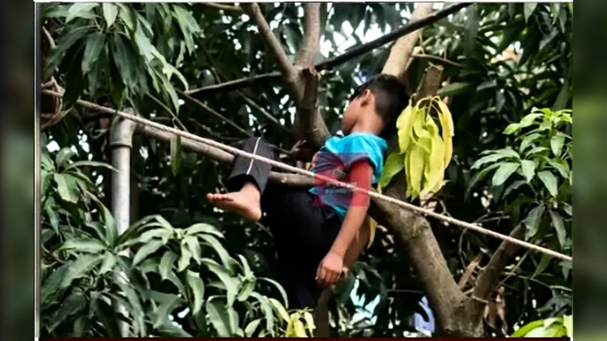 পতাকা টাঙাতে গিয়ে চলে গেলো না ফেরার দেশে।।
