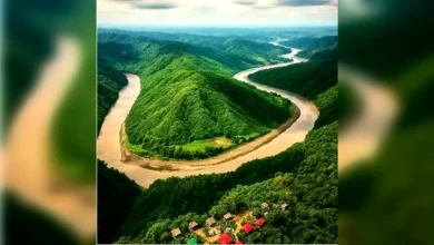 পর্যটনের স্বর্গরাজ্য লামা